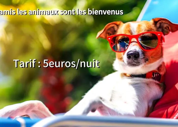 Appartamento Bas De 70m2 Indépendant Avec Espace Jacuzzi Privé *