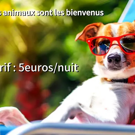 公寓 Bas De 70m2 Independant Avec Espace Jacuzzi Prive *